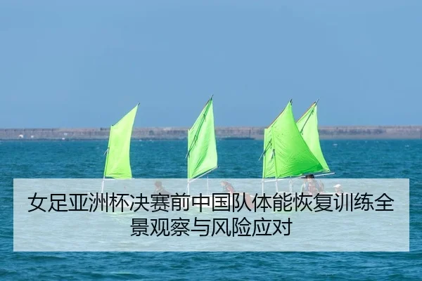 女足亚洲杯决赛前中国队体能恢复训练全景观察与风险应对