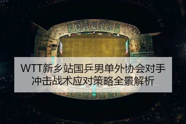 xin-xiang-zhan-guo-ping-nan-dan-wai-xie-hui-dui-shou-chong-ji-zhan-shu-ying-dui-ce-lve-quan-jing-jie-xi-2-987.jpg