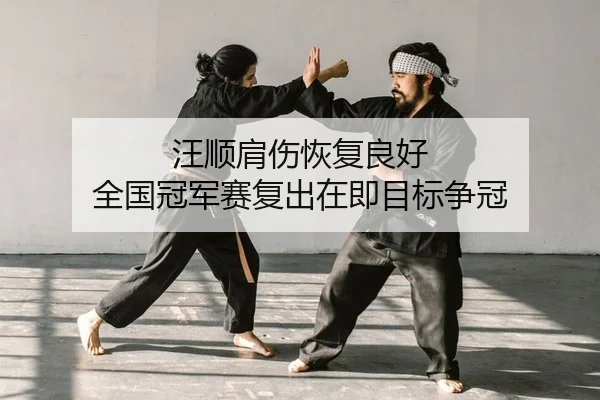 wang-shun-jian-shang-hui-fu-liang-hao-quan-guo-guan-jun-sai-fu-chu-zai-ji-mu-biao-zheng-guan-2-648.jpg